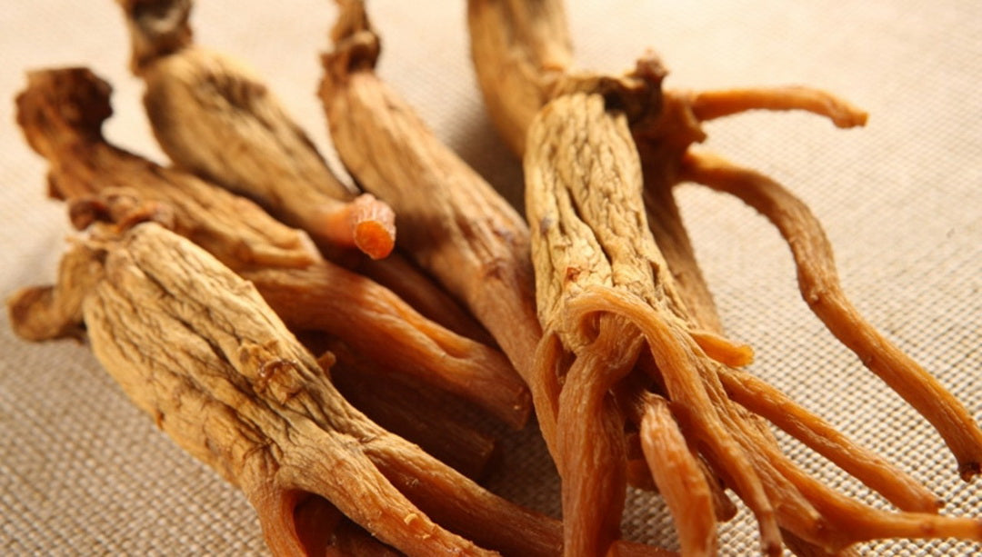 Red Ginseng
