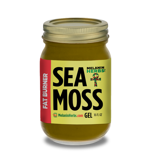 Fat Burner Seamoss Gel